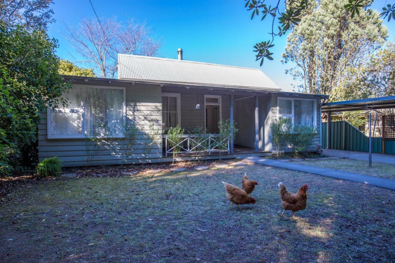 Arohanui Katoomba Luaran gambar